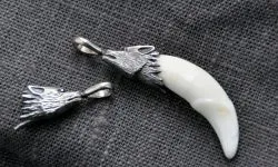 Fog és karom medve amulettet érték férfiak (karom) Fog és karom medve amulett értékének férfiak