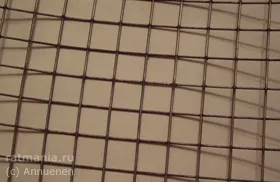 Cage a patkányok a kezüket, Rathmann