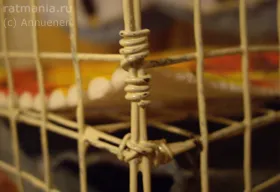 Cage a patkányok a kezüket, Rathmann