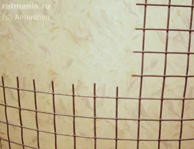 Cage a patkányok a kezüket, Rathmann
