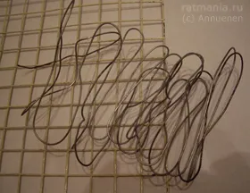 Cage a patkányok a kezüket, Rathmann