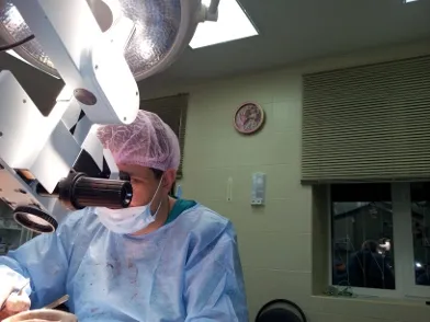 Clinic innovatív sebészet - korszerű technológiák Érsebészeti (Klinika) Clinic innovatív sebészet - korszerű technológiák Érsebészeti