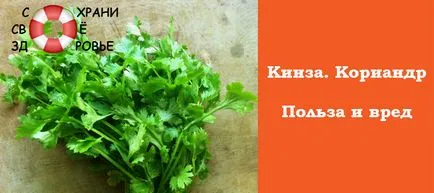 Koriander (koriander) (koriander) Koriander (koriander)