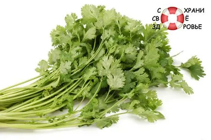 Koriander (koriander) (koriander) Koriander (koriander)