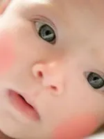 Ha lehet adni a babának a májat