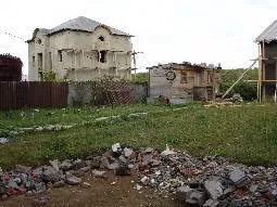 Amikor a fák lesz nagy