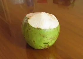 Coconut fa otthon öntözés, ültetés, hőmérséklet (módosítás) Coconut fa otthon öntözés, ültetés, a hőmérséklet