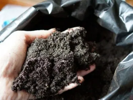 Gerbera szoba otthoni gondozást, fotó, termesztés vetőmagok egy bankot, hogy miért nem a virágok (mag) Gerbera szoba otthoni gondozást, fotó, termesztés vetőmagok egy bankot, hogy miért nem virágzik,