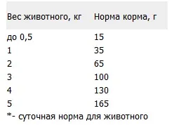 Takarmány az guabi természetes macskák, Maine Coon tenyészet - ryanata