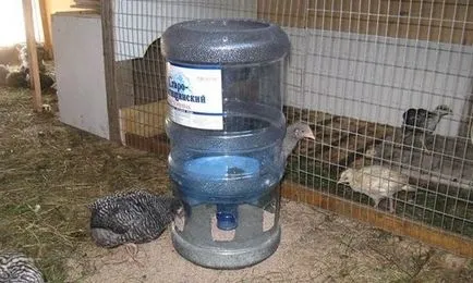 Feeder csirkéknek a kezüket a minőségi termelés a hulladék anyagok