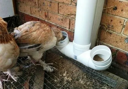 Feeder csirkéknek a kezüket a minőségi termelés a hulladék anyagok