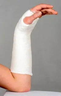 Arm csontok címek és beosztások