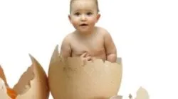Kecsketej csecsemők milyen korú, ha lehet forralni