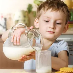 Kecsketej csecsemők milyen korú, ha lehet forralni