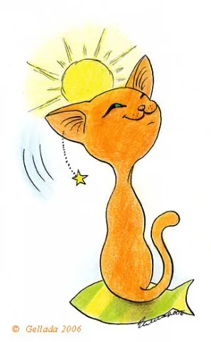 Cat esküvő, vörös macska