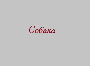 Cow - otthon zhivotnoesvoy községben