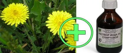 Csontok nagylábujj - kezelés, kezelés otthon