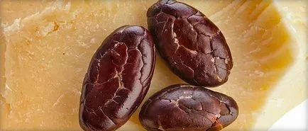 Arckrém kezüket receptek az anti-aging, tápláló, és uvalazhnyayuschego (arckrém kezüket receptek otthon) Arckrém kezüket receptek anti-aging, tápláló, és uvalazhnyayuschego