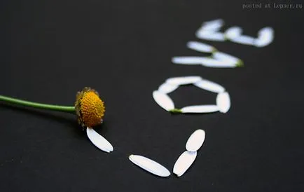 Gyönyörű romantikus szerelem képek, blog a fényképezésről és microstock (romantikus szerelem fotó) Gyönyörű romantikus szerelem képek, blog a fényképezésről és microstock