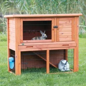 Rabbitry kezük ötletek tervezés, lebonyolítás, fotók és rajzok (fotók) Rabbitry kezük ötletek tervezés, rendszer, képek és rajzok