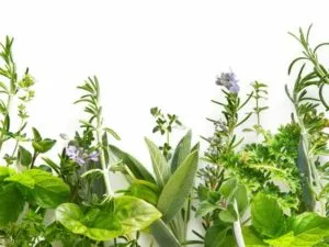 Palmoplantar psoriasis okok, tünetek, kezelés, fotók