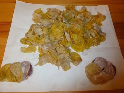 Csirke zúza, folsav, dysbacteriosis és hasmenés (csirke zúza használni) Csirke zúza, folsav, dysbacteriosis és hasmenés