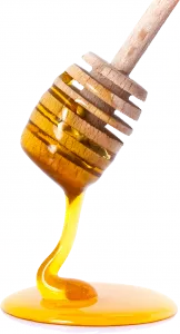 Kezelése rigó hazai jogorvoslati