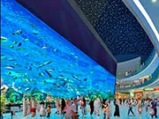 Lazarev Oceanárium „Amazon eső” - azaz a „Óceanáriumot”
