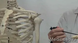 Kezelésére és megelőzésére csontrendellenességek (betegségek) Kezelésére és megelőzésére csontbetegségek