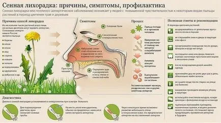 Allergia kezelése népi jogorvoslati népszerű jogorvoslatok allergia mindenki számára elérhető (kezelés) Allergia kezelése népi jogorvoslati népszerű jogorvoslatok allergia mindenki számára elérhető