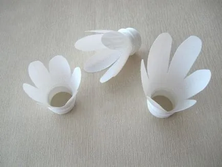 Swan műanyag palackok saját kezűleg - a mester osztály, hogyan lehet a rendszer (palackok) Swan műanyag palackok saját kezűleg - a mester osztály, hogyan lehet a rendszert