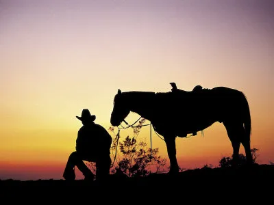 cowboy ló - helyszínen a lovak