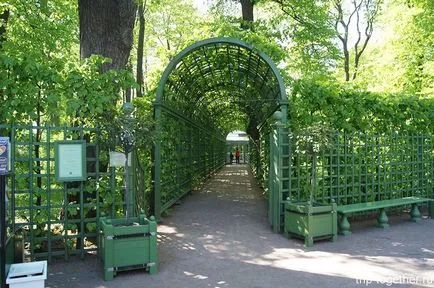 Summer Garden St. Petersburg, hogyan juthatunk el oda, hogy mit lát