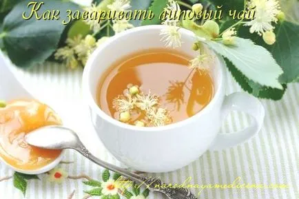 Linden tea előnyeit, tulajdonságait és ellenjavallatok blog Alena Kravchenko