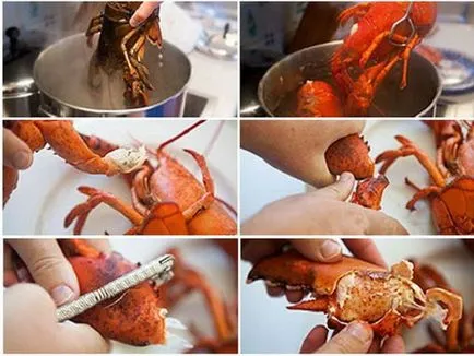 Homár - recept fotókkal, hogyan kell főzni homár otthon