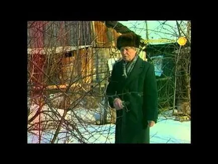 Moth alma, hogyan kell harcolni, és hogyan kell kezelni