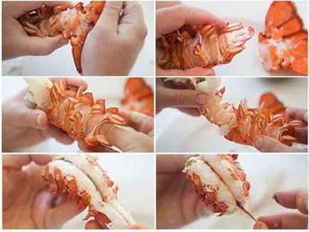 Homár - recept fotókkal, hogyan kell főzni homár otthon