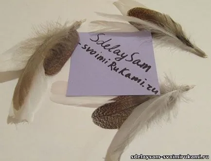 álom elkapó, a mester osztályt a kezüket (saját) Dream Catcher, a mester osztály saját kezűleg