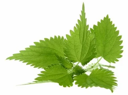 Hogyan megszabadultak a sérv Hogyan megszabadultak a sérv
