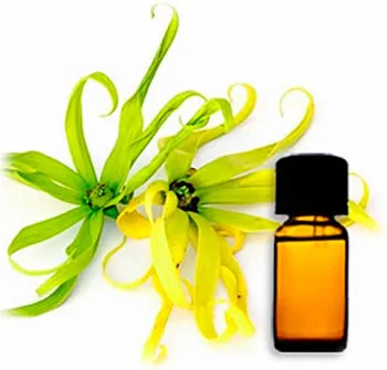 Ylang ylang Hair