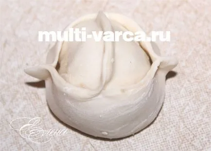 Manta multivarka