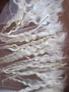 Mini mester osztály Tresses kunkorodik kecske (kecske) Mini mesterkurzus hajfürtök kecske hajzat