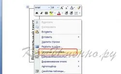Microsoft Word