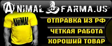 Methandrostenolone (Methandienone) - Tulajdonságok és vételi áramkör