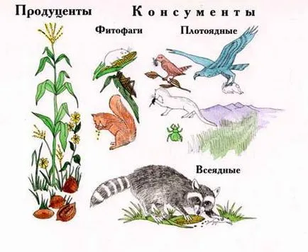 Rezisztencia mechanizmusai biogeocenosis