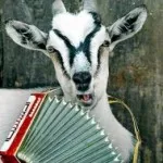 Mi a kecske harmonika (Eugenia davydyanets)