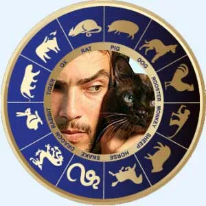 Férfi-cat (nyúl)