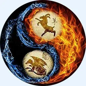 Bakot (juh) - Dragon nő kompatibilitás
