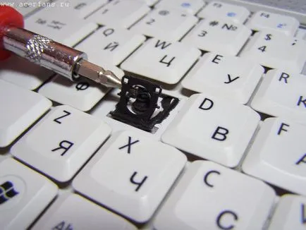 Nem munka része a billentyűzet a laptop, hogy mit és hogyan kell megjavítani - részletes útmutató