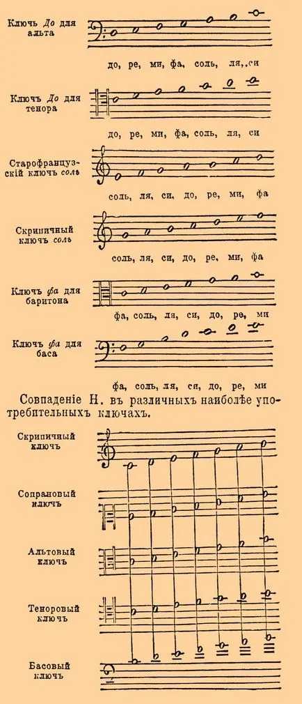 Megjegyzés - ez